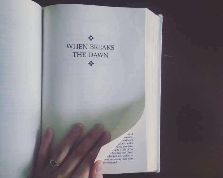{Book Review} When Breaks the&nbsp;Dawn