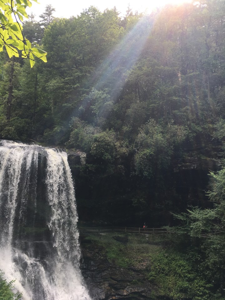 Interview with Ray Rhodes Jr. {The Prince of Preachers, Ordinary Faithfulness, and What We Owe to the Lady Who Gave Away&nbsp;Books}