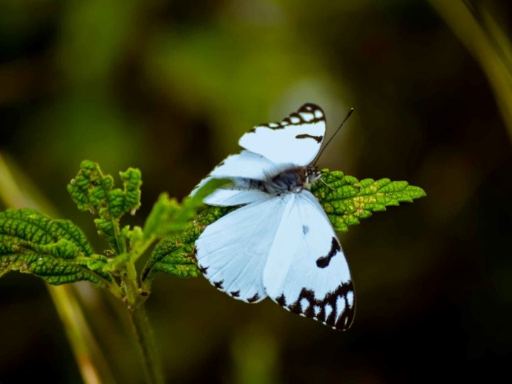 What We Need to&nbsp;Know