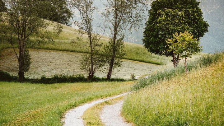 On a Path I Never Would’ve&nbsp;Chosen