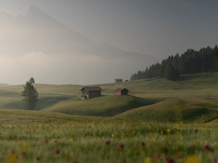 Beauty in the Barren&nbsp;Fields
