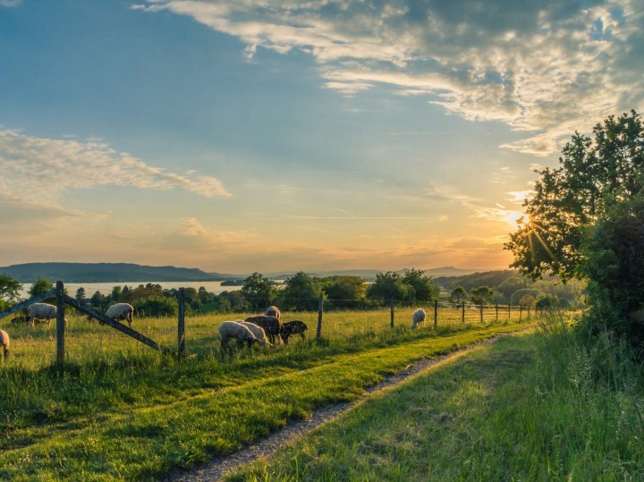 When You Wish It&nbsp;Hadn’t